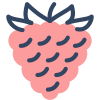 Raspberry icon