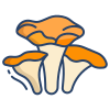 Chanterelle Mushrooms icon