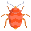 Bed Bug icon