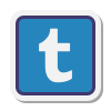 Tumblr icon