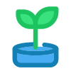 阳光下的植物 icon