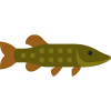 Pike icon