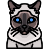 Cat icon