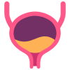 Bladder icon