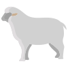 Schaf icon