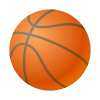 Pallacanestro icon