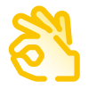 Main Ok icon