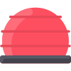 Bosu Ball icon