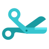 Surgical Scissors icon