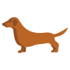 Dachshund icon