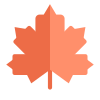 Maple Leaf icon