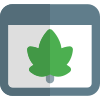 Maple leaf on isolated on a web browser icon