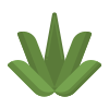 Aloe Vera icon