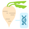 Sugar Beet icon