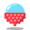 lychee icon