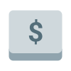 Dollar key icon
