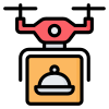 Drone Delivery icon