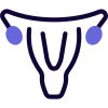 Uterus color image isolated on a white background icon