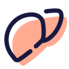 Liver icon