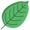 Beech Leaf icon