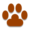 Cat Footprint icon