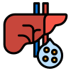 Liver icon