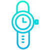 Wristwatch icon