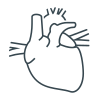 Anatomy icon