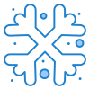 Flocon de neige icon