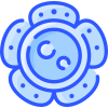 Rafflesia icon