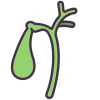 Gallbladder icon