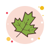 Maple Leaf icon