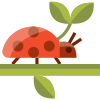 Ladybug icon