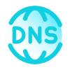 DNS icon