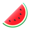 Watermelon icon