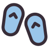 Flip Flops icon