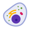 Cellules eucaryotes icon