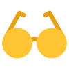 Eyeglasses icon