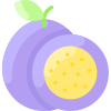 Passion Fruit icon