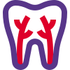 Teeth root canal connected to gum isolated on a white background icon