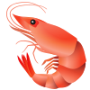 Shrimp icon