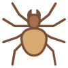 Araña icon