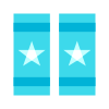 Eletivo icon