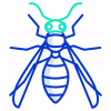 Wasp icon