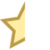 Demi étoile icon