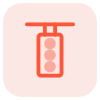 Traffic light for signaling and controlling the traffic icon