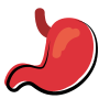 Stomach icon