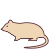 Jahr der Ratte icon