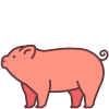 Pig icon