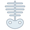 Skeleton icon